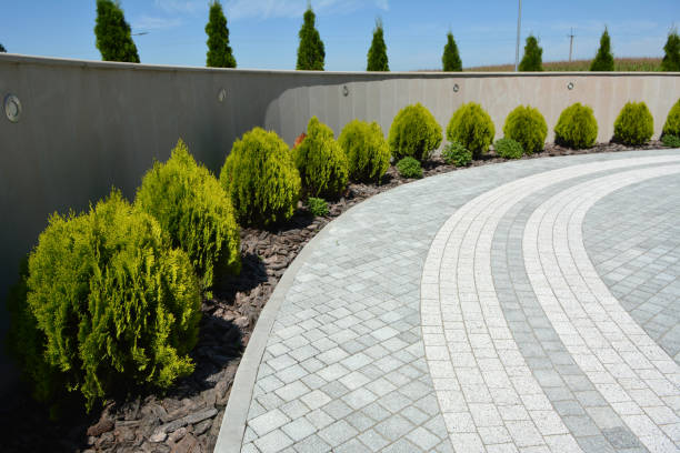 Best Driveway Paver Sealing  in Cheboygan, MI